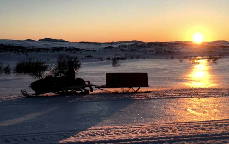 Skoterkörning i kvällsljus över fjället